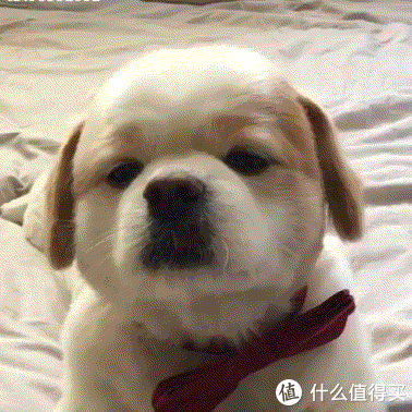 抽屉|学会这5个小户型隐藏的收纳空间!居家收纳量激增,小家整洁又清爽!