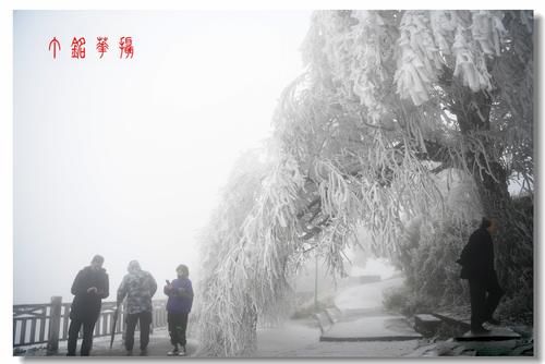 铅山|铅山葛仙山白雪皑皑，犹如冰雪童话世界