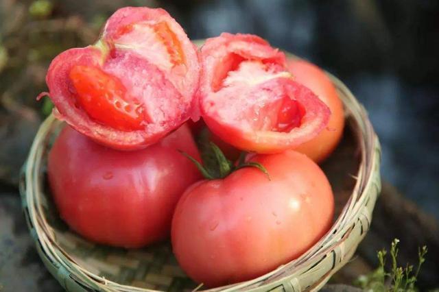 买西红柿时要小心“激素西红柿”,学会4个方法,轻松鉴别