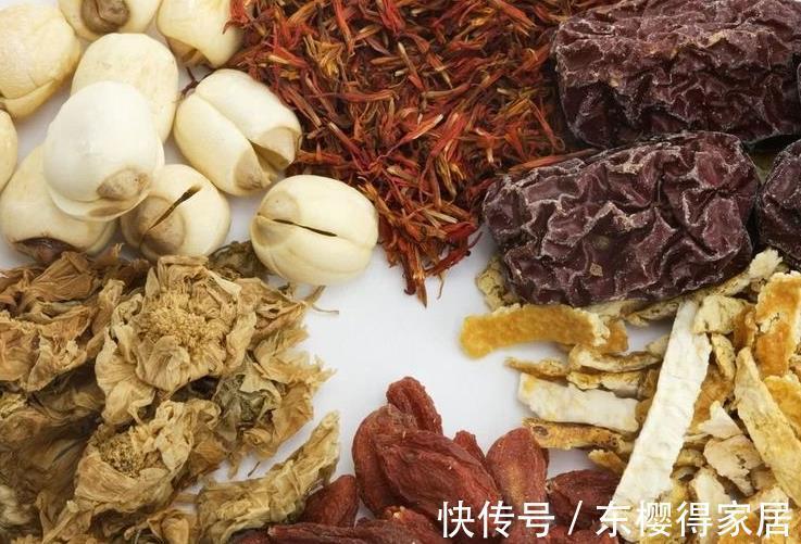 冬病夏治|蒲公英泡水喝只能败火?要是有这些病症也能用蒲公英来缓解