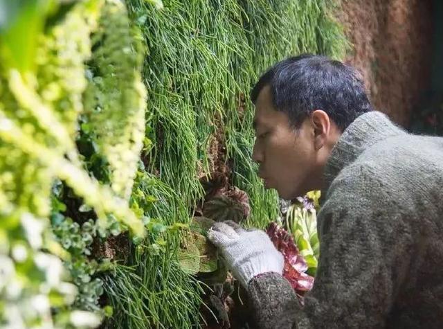 破案|“鬼才之眼”王昱珩，用实力征服观众，连警察也邀请他前去破案