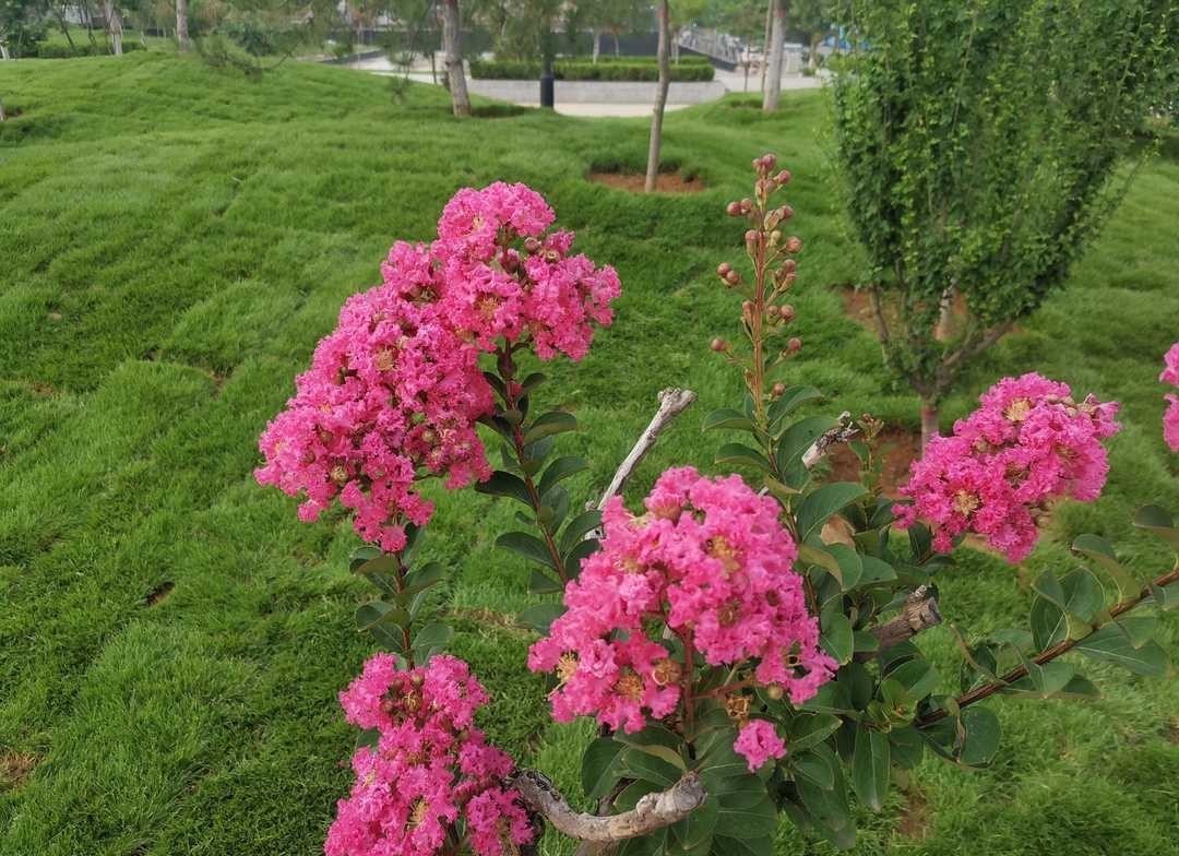 曾国藩:大多数学问来自于生活,应在孝悌上用些功夫