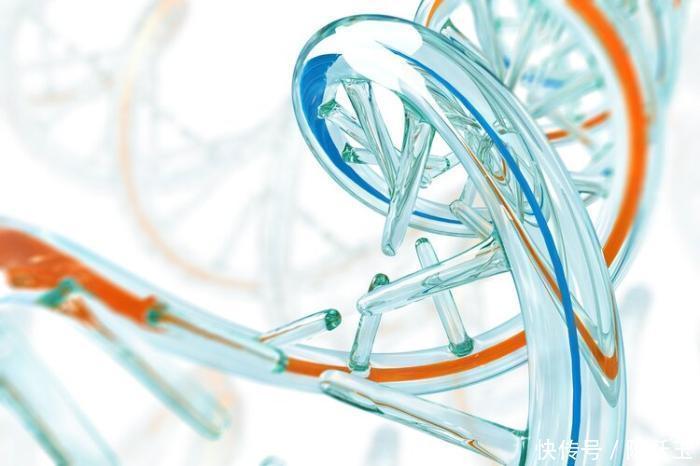 萃枫苷|中老年人一天要睡多久？复旦研究：睡够最佳时间就行了，别强求