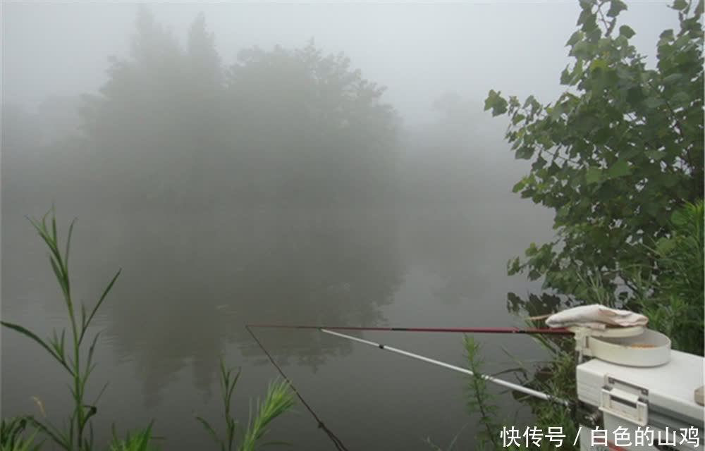 惊蛰到清明,大鲫鱼最好钓,选择这些天气出门,全天能上鱼!