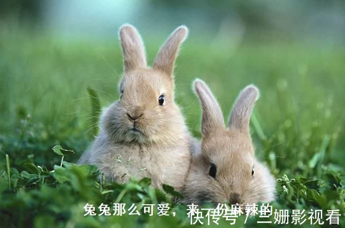 穿山甲|新一届的孕妈迷信行为大赏,第一个就是重灾区