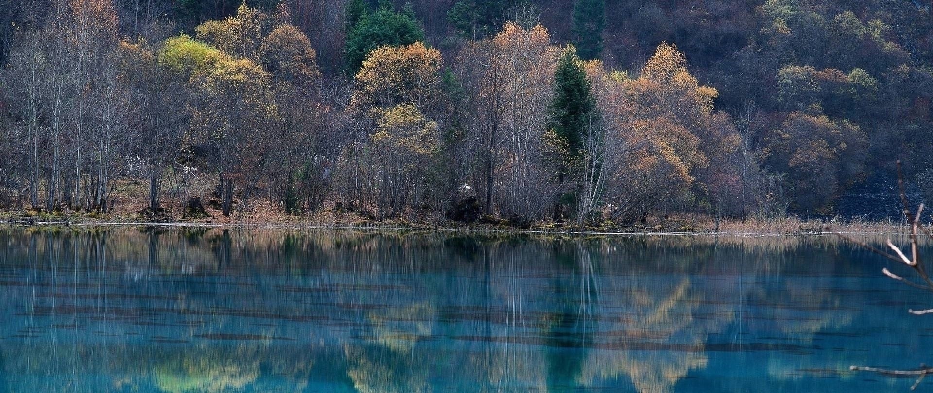 吴文英!50句美到极致的古诗词,每一句都饱含深情,总有一句击中你的内心