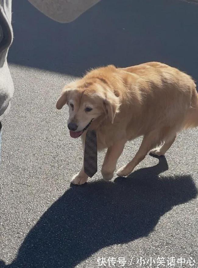 |【被窝段子20211223】现实点,你根本没有努力,你在抱怨