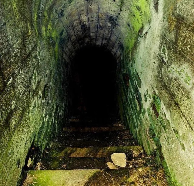 二战|二战6名德军藏身防空洞,被困6年后获得救援,最终仅一人活着离开