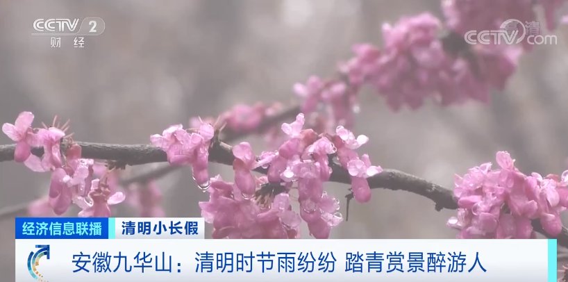 人人人从人人人众！重现火爆！景区门口大排“长龙”！酒店满房！连景区文创都卖断货了…