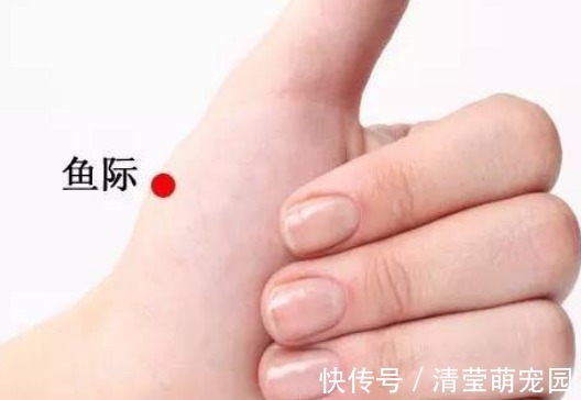 大鱼际|手上有个“救心穴”,长期按一下,心脏血管也就通了