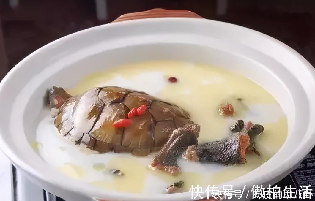 习惯|5岁男童脾胃功能“衰退”，医生：3种习惯，是娃积食的“元凶”