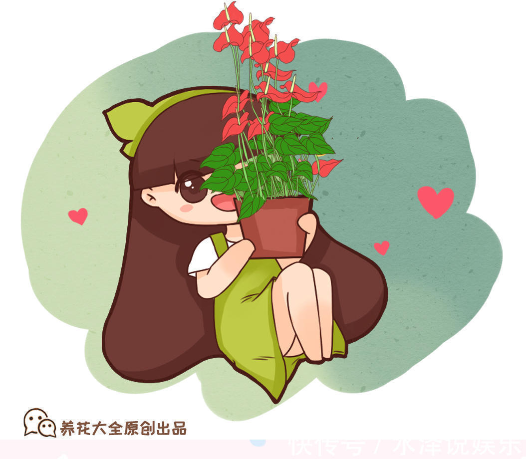 发酵|橘子皮还能用来养花,吃剩的橘子皮这么处理,植物疯长立刻爆