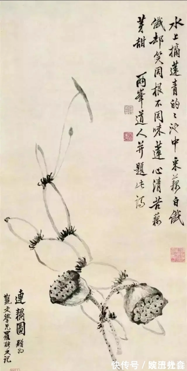 远影#白头相见两萧条,乡国不知何处是,乱山无数思迢递