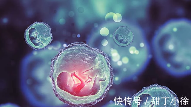 供卵试管助孕（做试管婴儿需要具备哪些条件？）