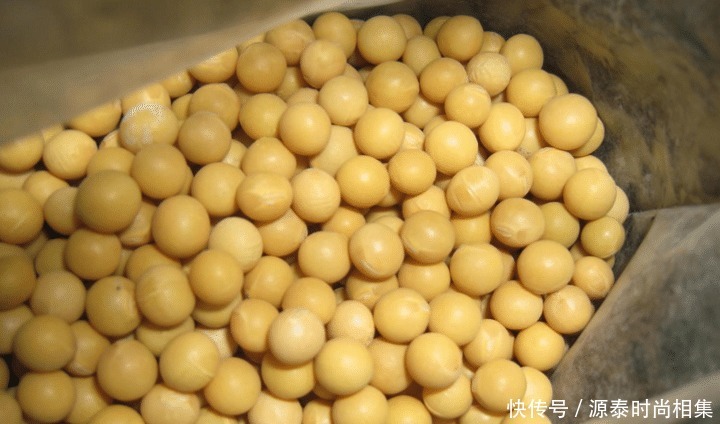 黄豆辣椒酱|家人最爱吃的黄豆酱,在家就能做,香辣可口,比买的还好吃