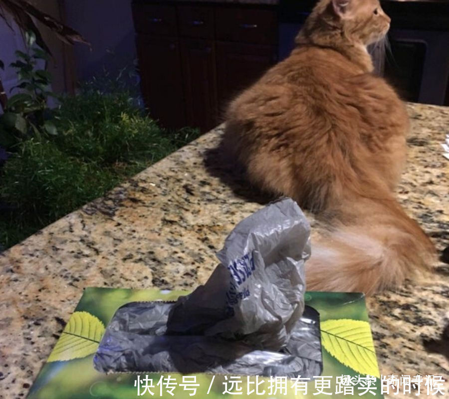 大概只有天才才能想出这些有用的生活冷知识吧,看完总有一种冲动
