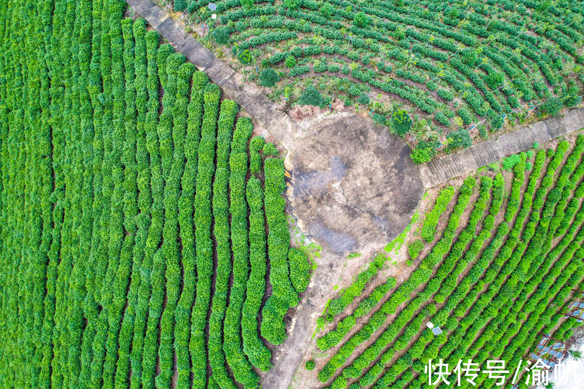 土壤|重庆江津：中国长寿之乡，富硒名城，适合养老与旅行的硒望之城