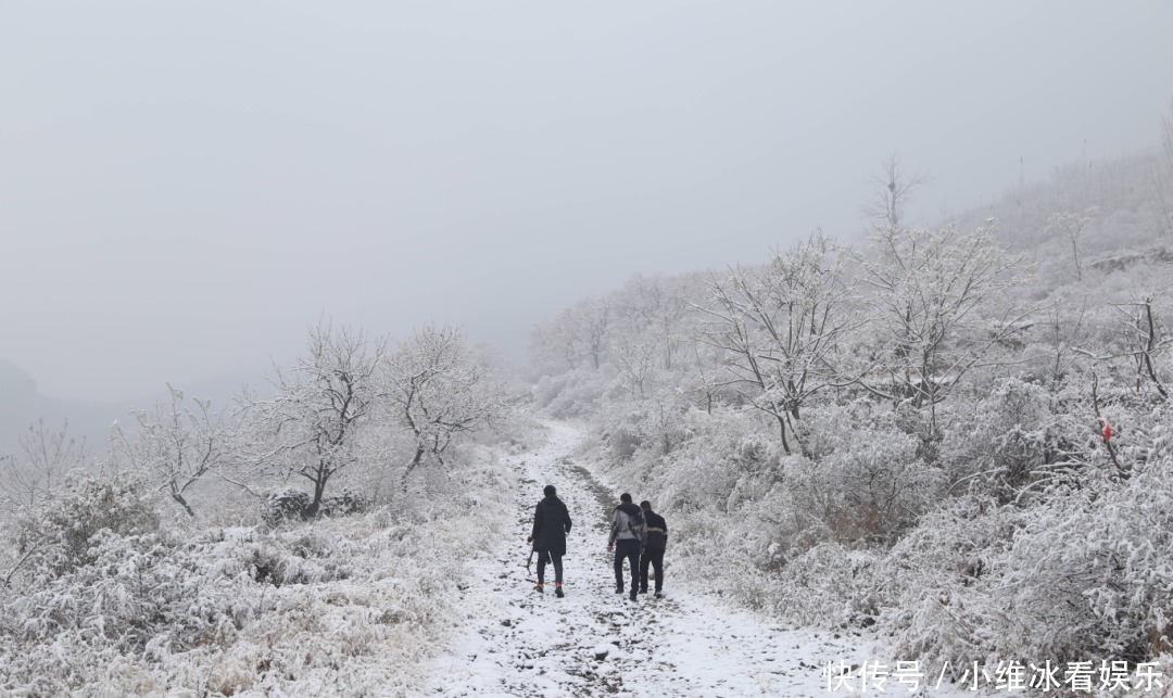 签收|邹平今冬初雪美景已到货，快快签收