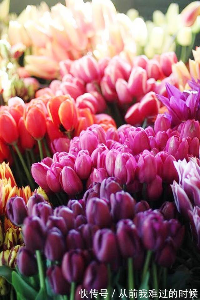 警世名言！醒悟人生的警世名言，睿智透彻，句句中肯实用