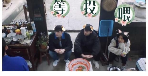 小姐姐|李雪琴问张艺兴会不会推荐杨紫返场《向往》，张艺兴的回复显情商