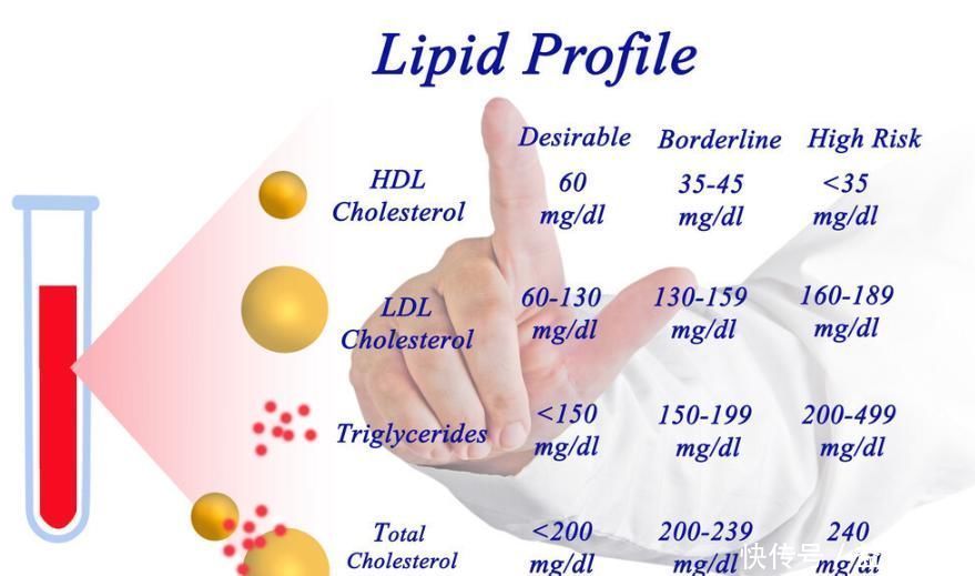 甘油三酯过高怎么办坚持5件小事,清理血管垃圾、甘油三酯降了