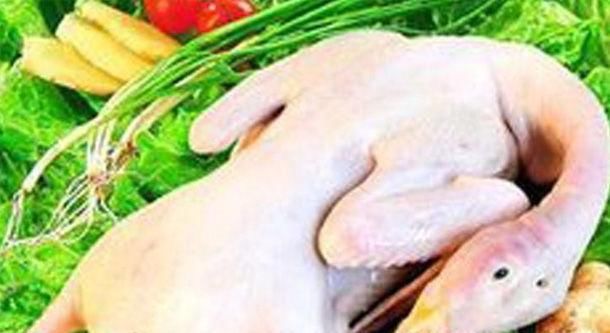 立春后進補多吃3種肉，老中醫(yī)：補血益氣、補腎祛濕，止咳養(yǎng)胃