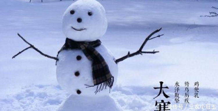 老辈人|大寒将至, 老祖宗传下的5句大寒节气农谚, 可预测收成及春节冷暖