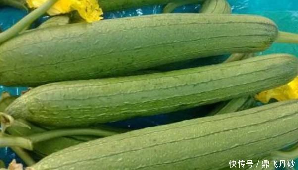 老中医提醒丝瓜与它搭配,就是没病找病,却有很多人偏偏喜欢