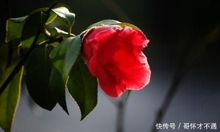 福运|孩子生在这三个吉时,自身聚财旺家,福运绵长,长大后非富即贵