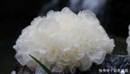 女性多吃这几种食物,赶走皱纹,让你的肌肤白皙水嫩