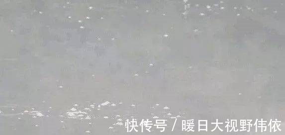 鱼星|窝子里有鱼星,不吃饵,我们可以这样做