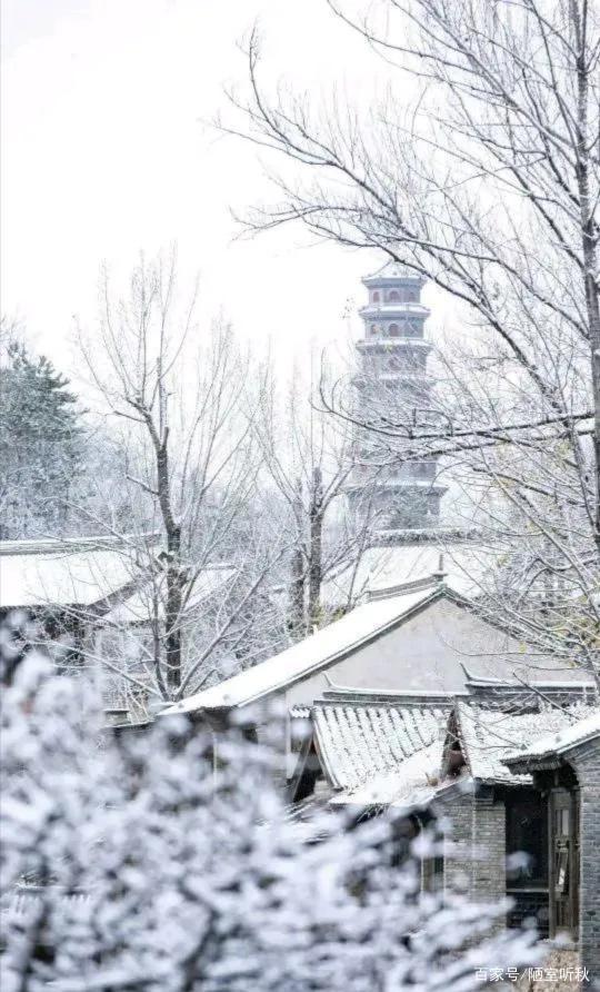 落下|初冬那飘飘落下的雪花