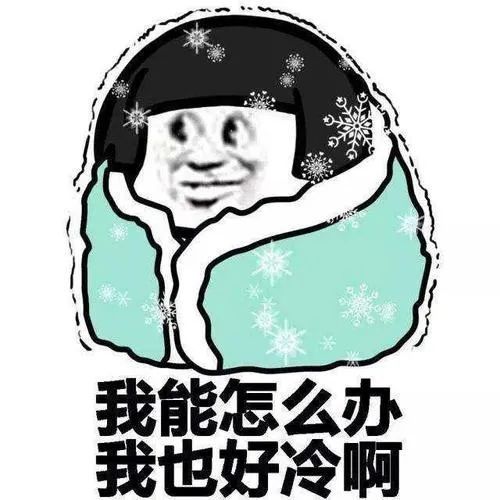  生活|她生活丨今日大雪！看广东人如何抗冻......