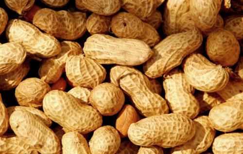 花生与此物一起吃，润肤养颜降糖脂，补脑护胃抗衰老