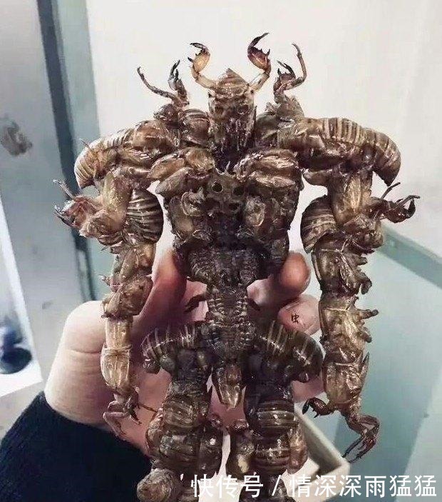 手办|大神将垃圾制成精美手办,“变废为宝”的手法太神奇,我看懵了!