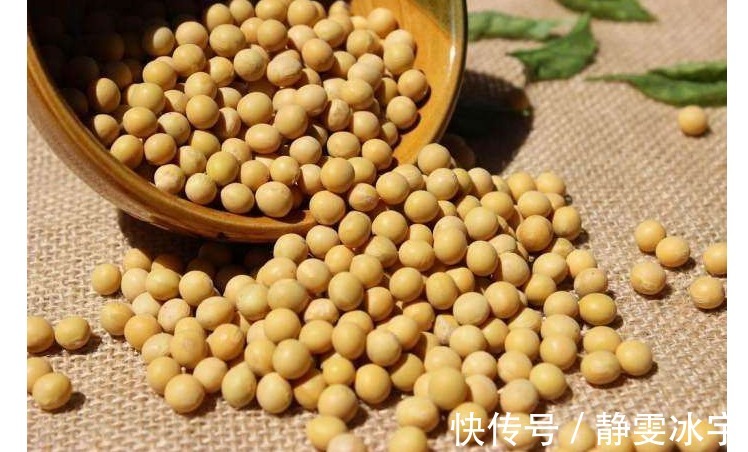 海带|腹部赘肉多得像怀孕常吃以下食物燃脂刮油，悄悄甩掉大肚腩