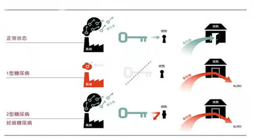 血糖|糖尿病,到底能不能吃花生?这篇文章告诉你真相!