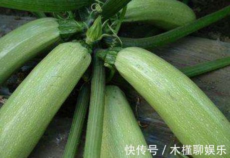 长寿|想长寿全靠吃，3种食物离不开，排毒养颜，增强体质！