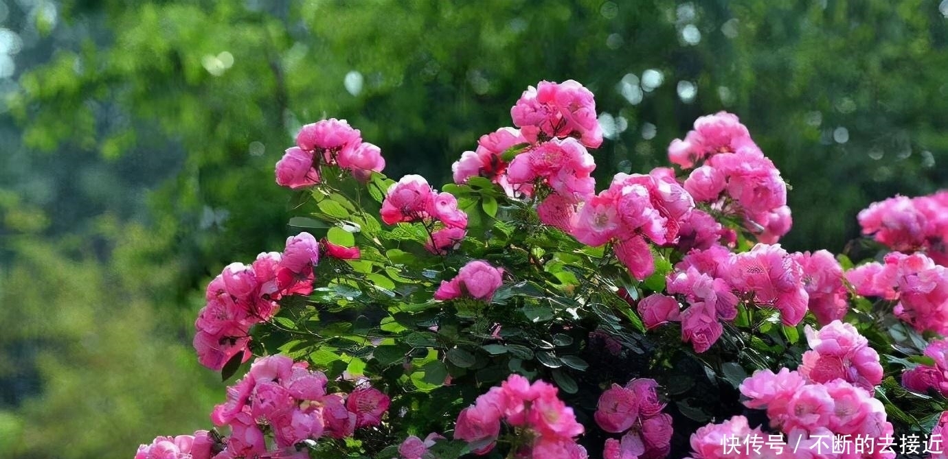 不好惹|处处示弱的人,往往实力很强,不好惹