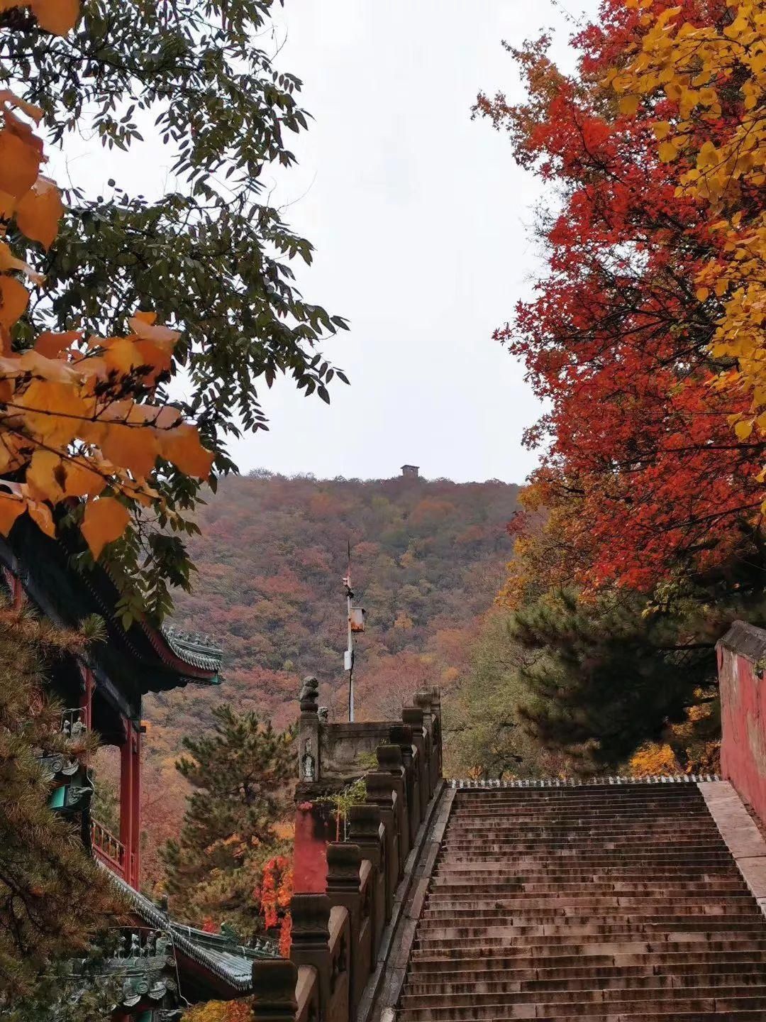  门头沟|古寺有灵知秋日，芳华无限在戒台——到门头沟最美的寺庙打卡