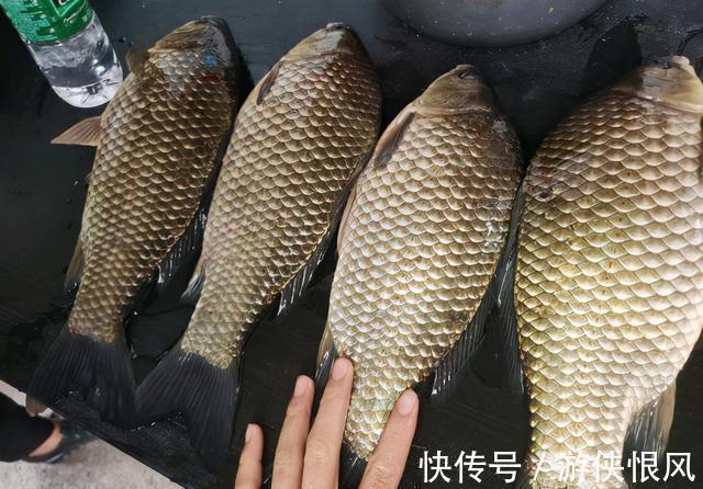 野钓风大不好钓鱼？只要人不跑，解决起来就很简单