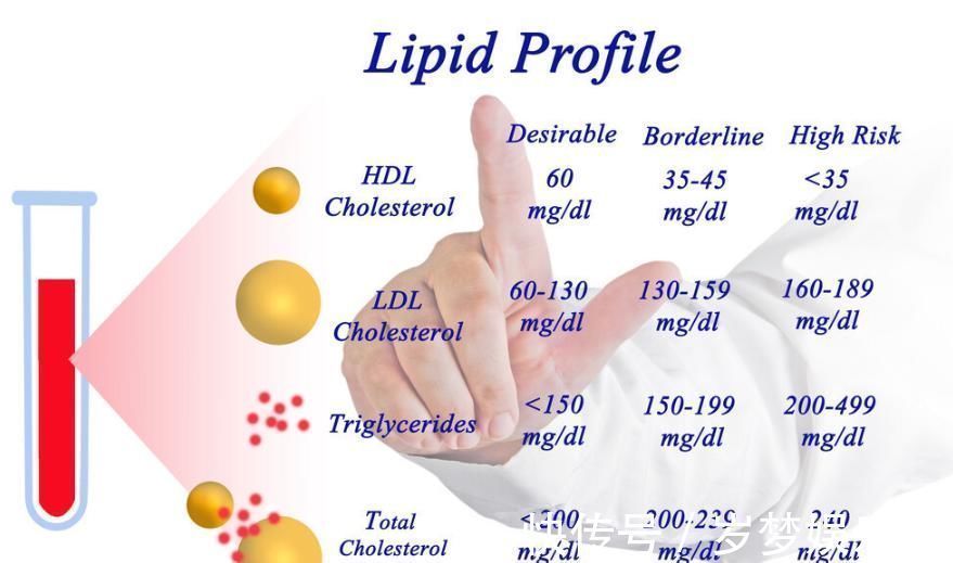 游离脂肪酸|甘油三酯过高怎么办坚持5件小事，清理血管垃圾、甘油三酯降了
