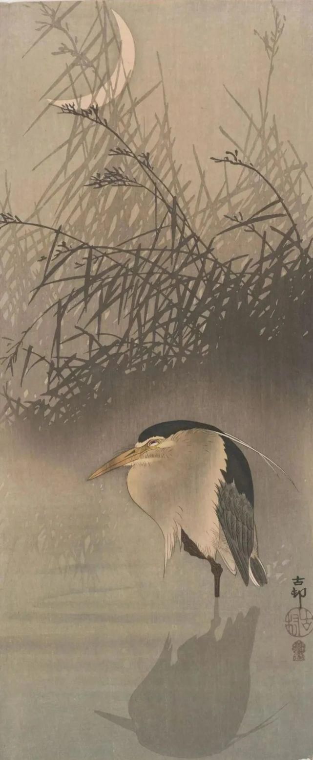 日本绘画大师的花鸟画，淡雅清新