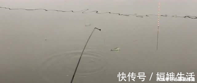 浮漂|钓鱼二十年,如今才晓得,这三种鱼情的用漂“办法”,学会别外传