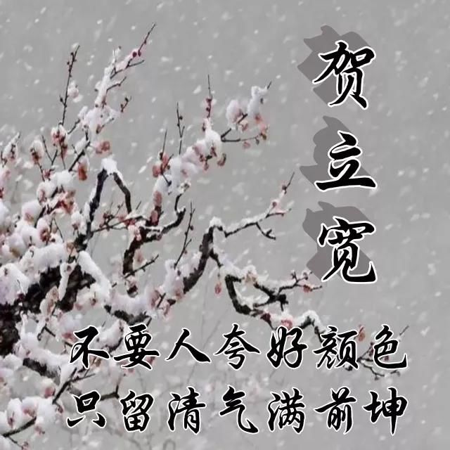  红梅|红梅花儿开，朵朵放光彩，千里冰霜脚下踩