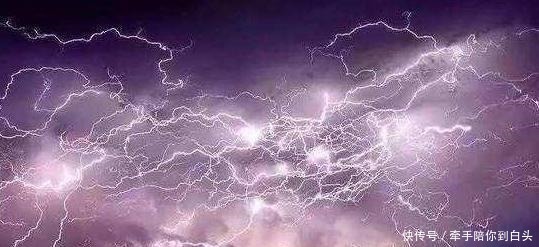 揭秘传说中的动物渡劫到底是什么意思