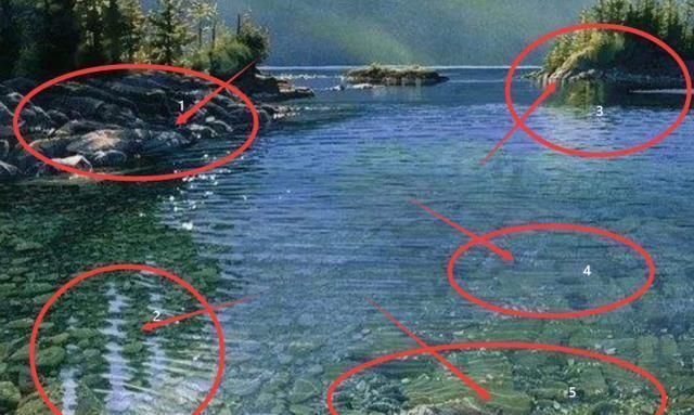 湖底@她画了一片湖水,波光粼粼,放大5倍后,专家懵了:这根本不是画