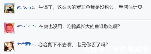 6斤!鸭子塘里的罗非鱼体型惊人,因常年吃鸭粪?