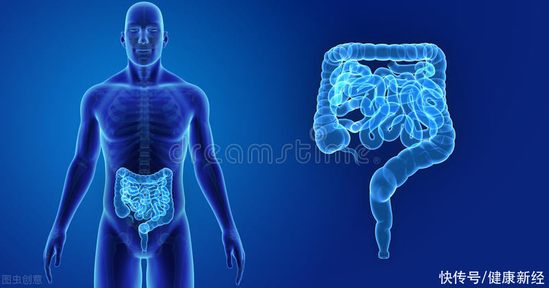 养生|45岁后养生，应先养“肠”，如何保护肠道健康？这些知识需要了解