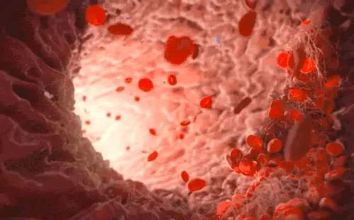 桑叶泡水|桑叶泡水喝能带来哪些好处？这5个好处或会不请自来